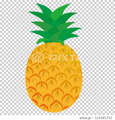 成熟的鳳梨向量圖示插畫 成熟的鳳梨向量圖示插畫 123565752