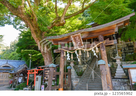 新緑に覆われた神社の境内　鐸比古鐸比賣神社 123565902