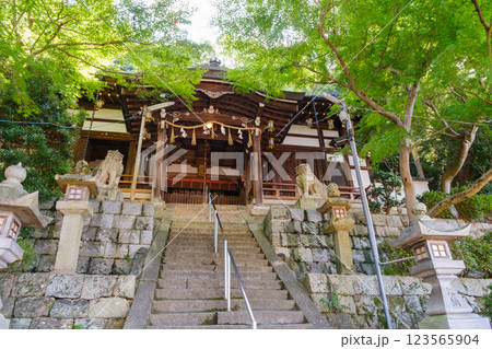 新緑に覆われた神社の境内 鐸比古鐸比賣神社 新緑に覆われた神社の境内 鐸比古鐸比賣神社 123565904