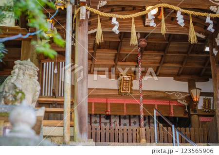 新緑に覆われた神社の境内 鐸比古鐸比賣神社 新緑に覆われた神社の境内 鐸比古鐸比賣神社 123565906