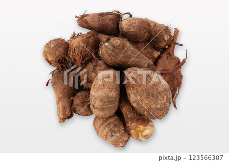 里芋 サトイモ 里芋 サトイモ 123566307