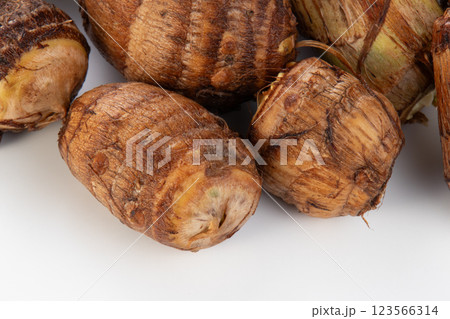 里芋 サトイモ 里芋 サトイモ 123566314