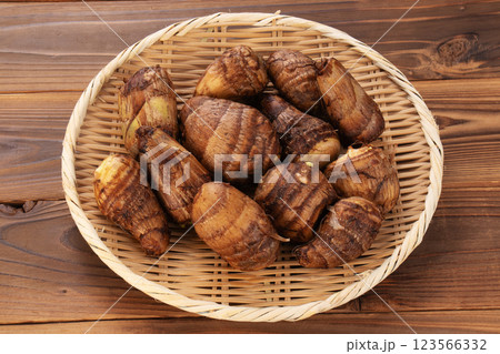 里芋 サトイモ 里芋 サトイモ 123566332