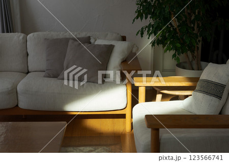 日差しがさすリビング 123566741