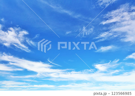 秋の青空と雲 123566985