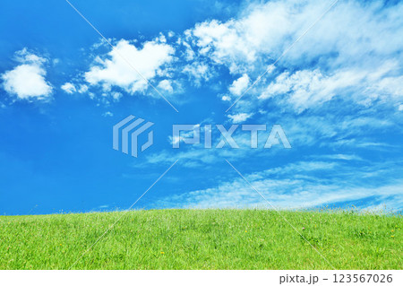 秋の青空と綺麗な草原風景 秋の青空と綺麗な草原風景 123567026
