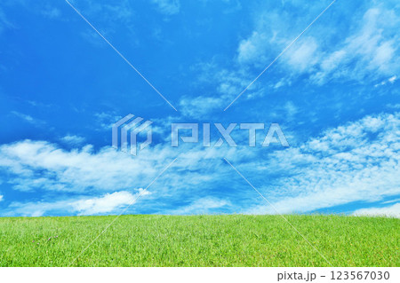 秋の青空と綺麗な草原風景 秋の青空と綺麗な草原風景 123567030