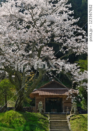 里山の桜（鮭神社付近：雲南市大東町） 123567682