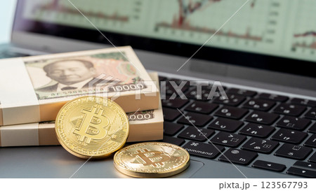 お金　BTC　パソコン 123567793