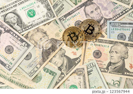 BTCとドル紙幣 123567944