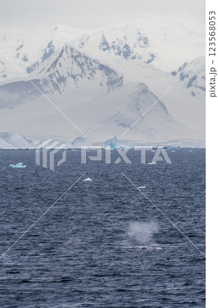 Landscape of the Antarctic Peninsula 123568053
