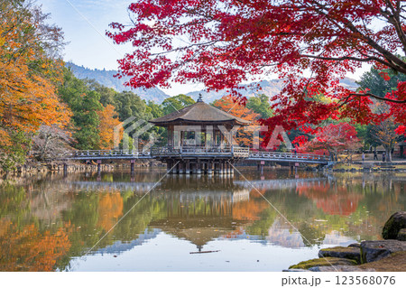 【紅葉】秋の奈良公園　浮見堂 123568076