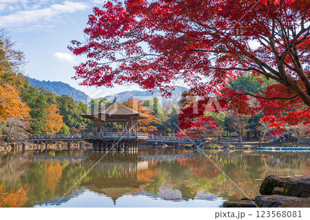 【紅葉】秋の奈良公園　浮見堂 123568081