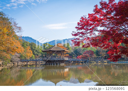 【紅葉】秋の奈良公園　浮見堂 123568091