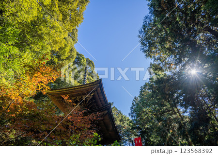 日龍峯寺高澤観音境内の景色 北条政子の寄進した多宝塔 日龍峯寺高澤観音境内の景色 北条政子の寄進した多宝塔 123568392