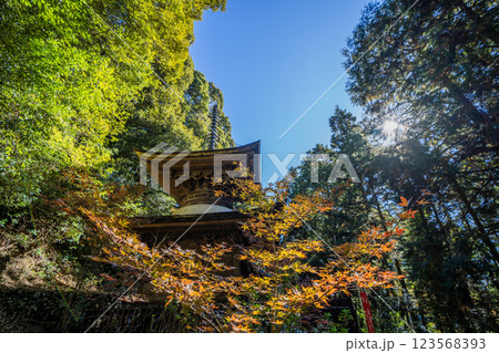 日龍峯寺高澤観音境内の景色　北条政子の寄進した多宝塔 123568393