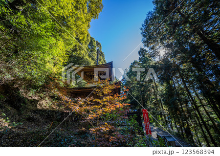 日龍峯寺高澤観音境内の景色　北条政子の寄進した多宝塔 123568394