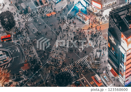 Vibrant Urban Nightlife Scene in a Bustling City, Tokyo Dec 4 2024 123568600