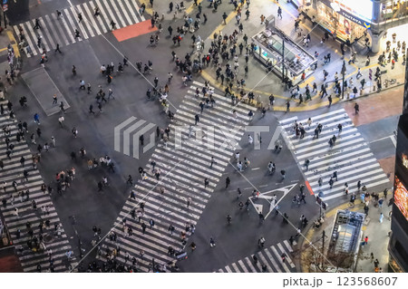 Vibrant Urban Nightlife Scene in a Bustling City, Tokyo Dec 4 2024 123568607