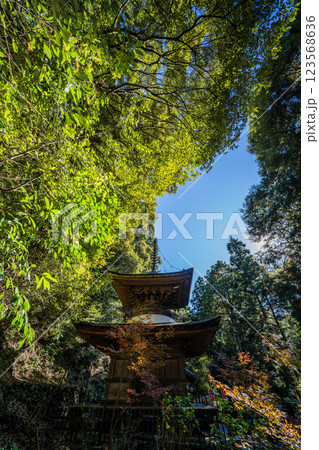 日龍峯寺高澤観音境内の景色　北条政子の寄進した多宝塔 123568636