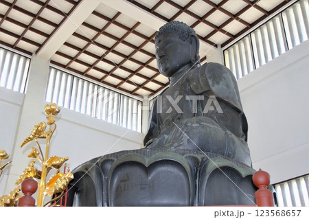 春の羽島散策・33 春の羽島散策・33 123568657