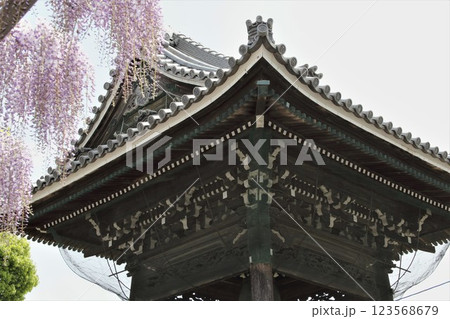 春の羽島散策・18 春の羽島散策・18 123568679