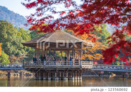 【紅葉】秋の奈良公園　浮見堂 123568692