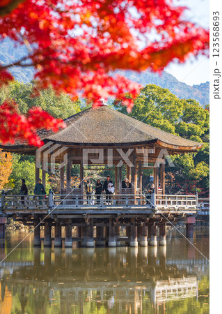 【紅葉】秋の奈良公園　浮見堂 123568693