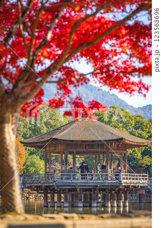 【紅葉】秋の奈良公園　浮見堂 123568696