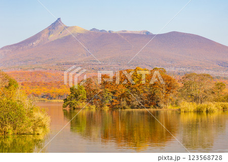 秋の北海道　紅葉の大沼公園　北海道駒ヶ岳 123568728