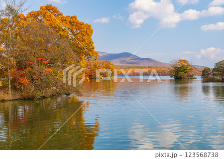 秋の北海道　紅葉の大沼公園　 123568738