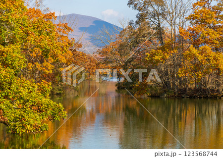 秋の北海道 紅葉の大沼公園 秋の北海道 紅葉の大沼公園 123568744