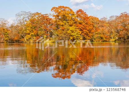 秋の北海道　紅葉の大沼公園　 123568746