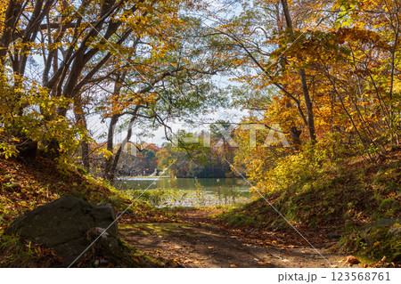 秋の北海道 紅葉の大沼公園 秋の北海道 紅葉の大沼公園 123568761