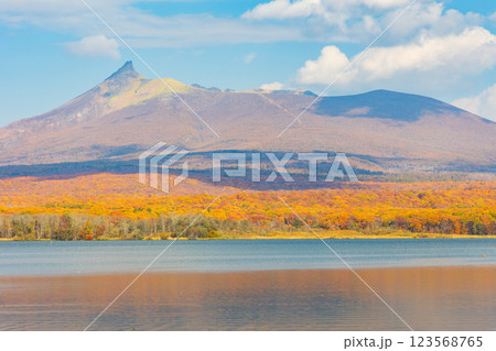 秋の北海道　紅葉の大沼公園　北海道駒ヶ岳 123568765