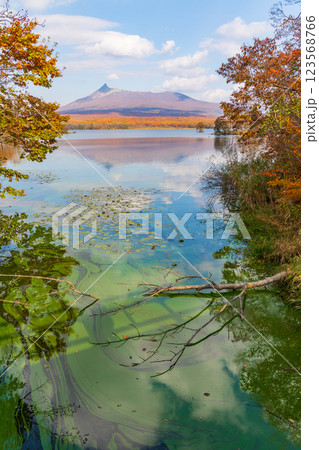 秋の北海道　紅葉の大沼公園　 123568766