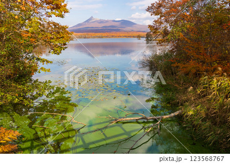秋の北海道　紅葉の大沼公園　 123568767