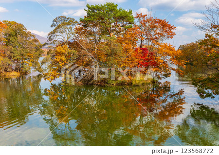 秋の北海道 紅葉の大沼公園 秋の北海道 紅葉の大沼公園 123568772