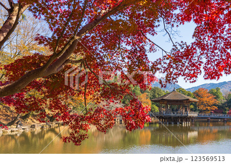 【紅葉】秋の奈良公園 浮見堂 【紅葉】秋の奈良公園 浮見堂 123569513