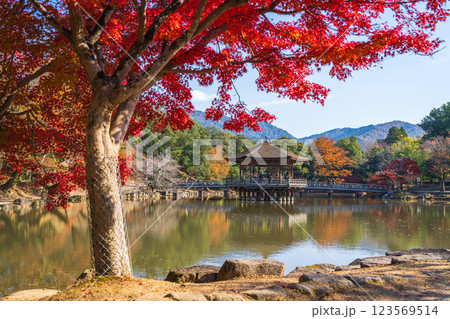 【紅葉】秋の奈良公園 浮見堂 【紅葉】秋の奈良公園 浮見堂 123569514