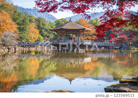 【紅葉】秋の奈良公園　浮見堂 123569515