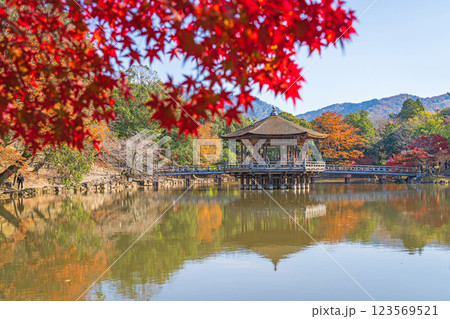 【紅葉】秋の奈良公園 浮見堂 【紅葉】秋の奈良公園 浮見堂 123569521
