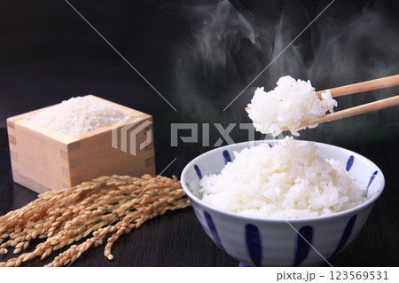 お米と白いご飯 お米と白いご飯 123569531