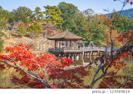 【紅葉】秋の奈良公園　浮見堂 123569619