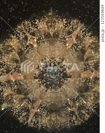 万華鏡2 万華鏡2 123569684