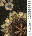 万華鏡6 123569688