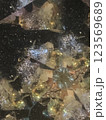 万華鏡7 123569689