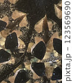 万華鏡8 123569690