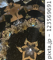 万華鏡9 123569691