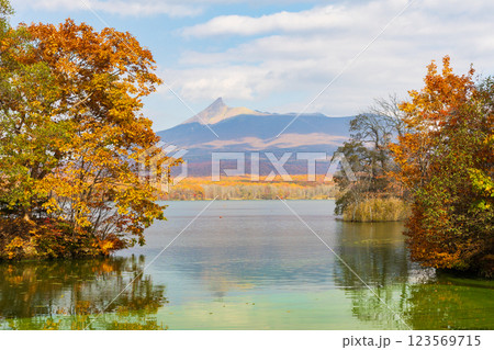 秋の北海道 紅葉の大沼公園 秋の北海道 紅葉の大沼公園 123569715